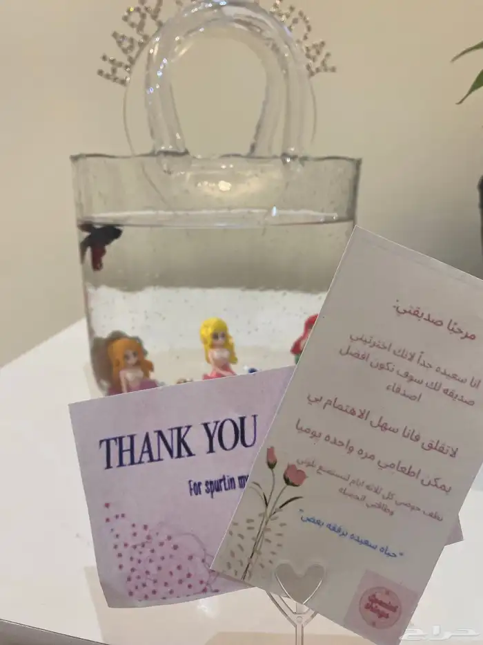 سمك فايتر 2