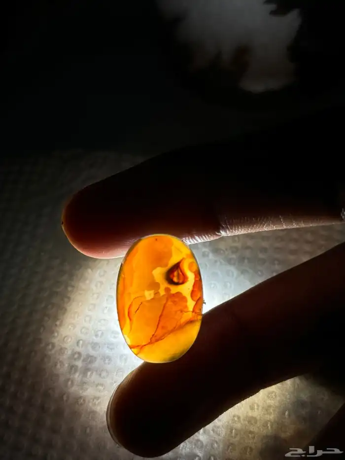 (خواتم وفصوص بسعر رمزي ) 12