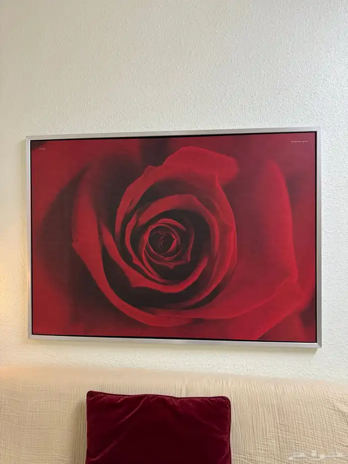 لوحة كبيرة في حالة ممتازة 0