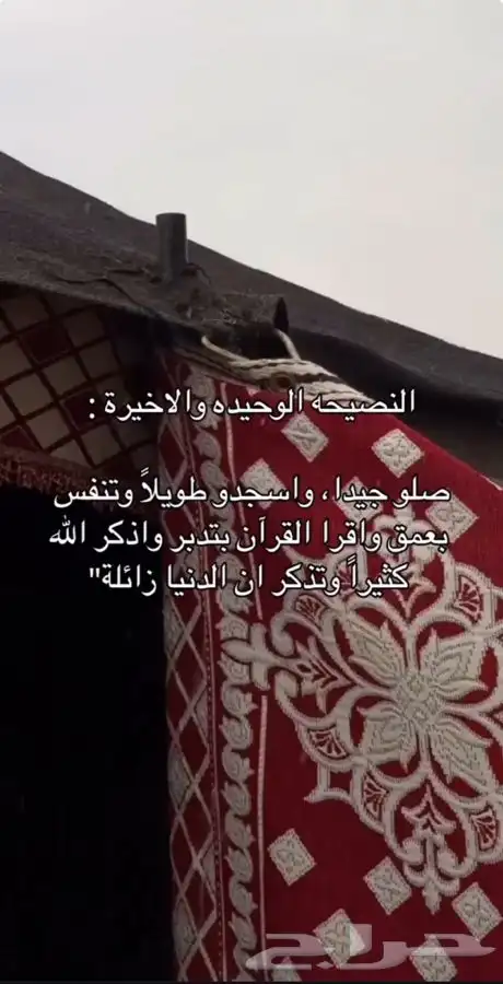 شمعات مازدا امامية وخلفية جميع الفئات من 2019 وطالع 6 وcx9 6