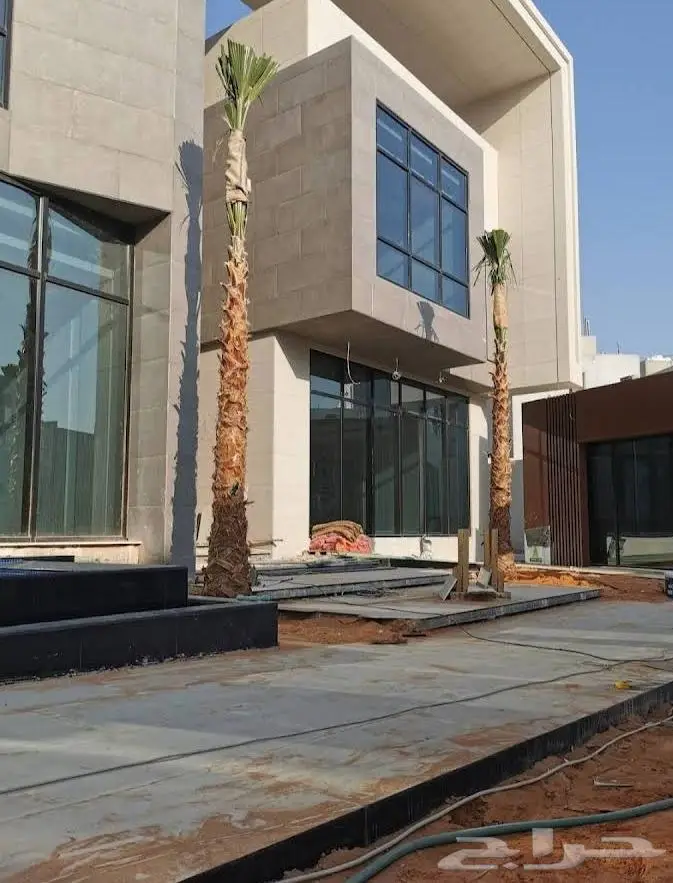 نخل واشنطن زينه امريكي ابو مروحه 5