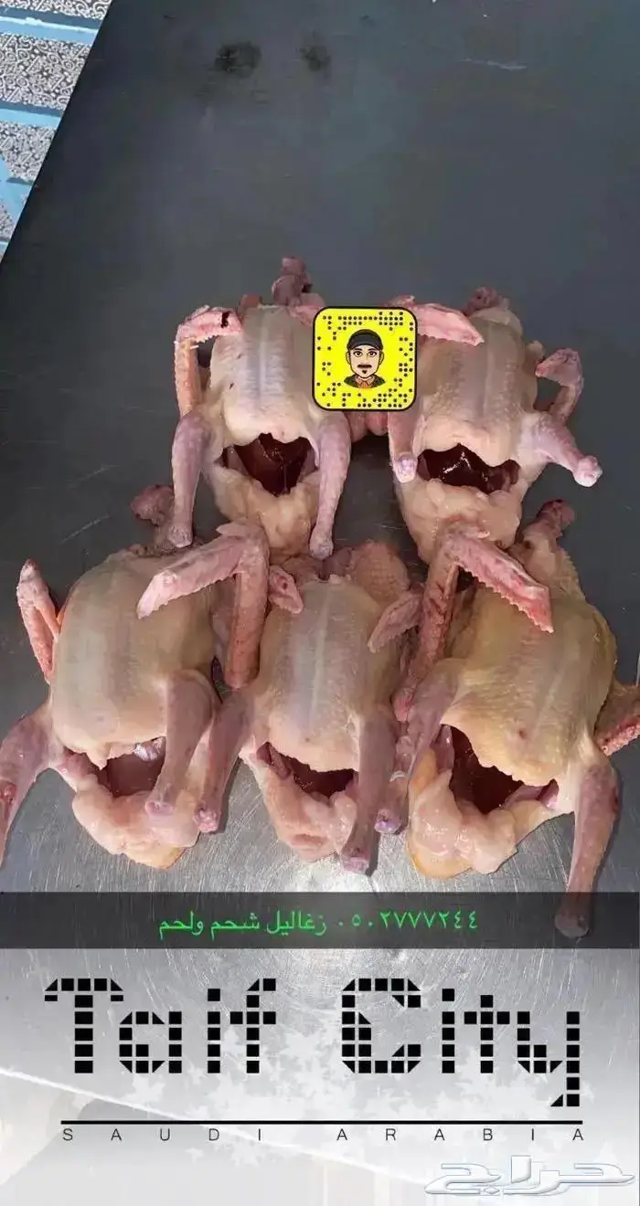 زغاليل حمام فرنسي بط ديوك دجاج سمان بيض 0