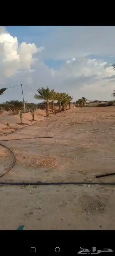مزرعه للبيع بعشيره في مدينة الطايف 1