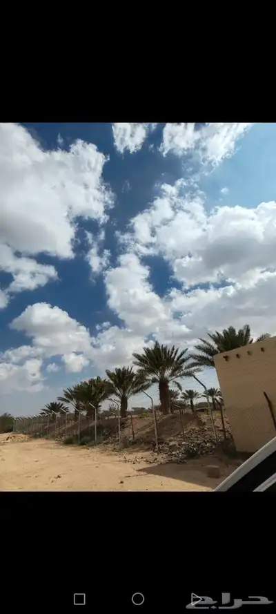 مزرعه للبيع بعشيره في مدينة الطايف 0