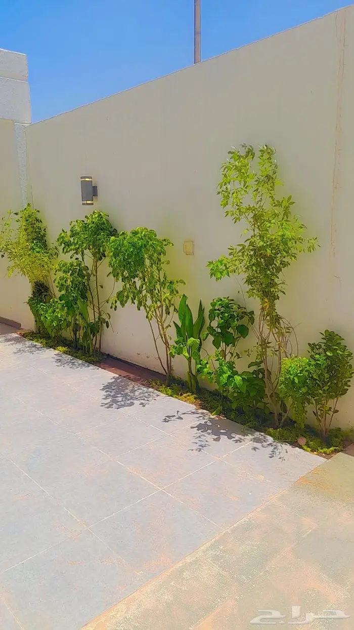 ترتيب الاحواض الداخلية 0