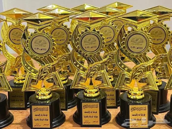 هدايا دروع مجسمات سيوف 24