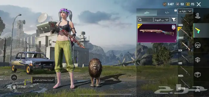 حساب ببجي 33