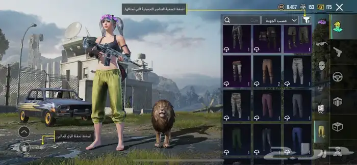 حساب ببجي 17