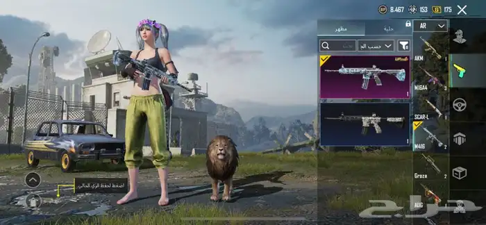 حساب ببجي 19