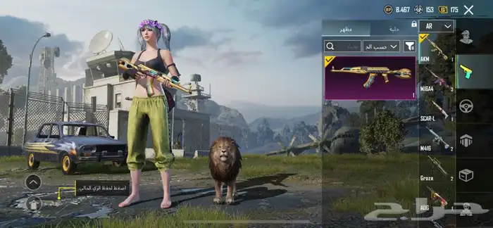 حساب ببجي 20