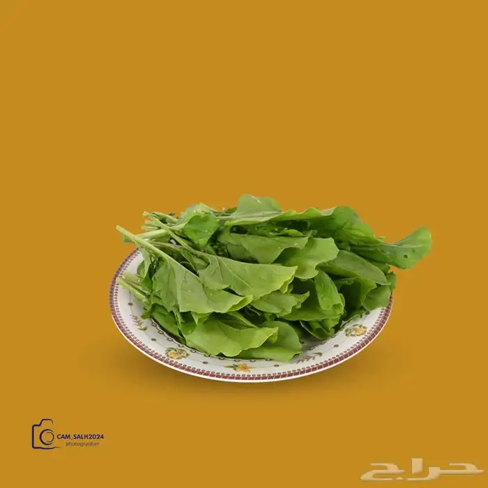 مصور اطعمة- مصور منتجات- مصور خلفية ابيض - مصور تتطبيقات 6