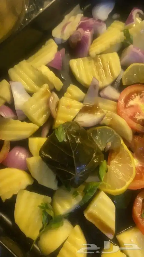 ورق عنب كبيبه حائل فته ورق عنب 2