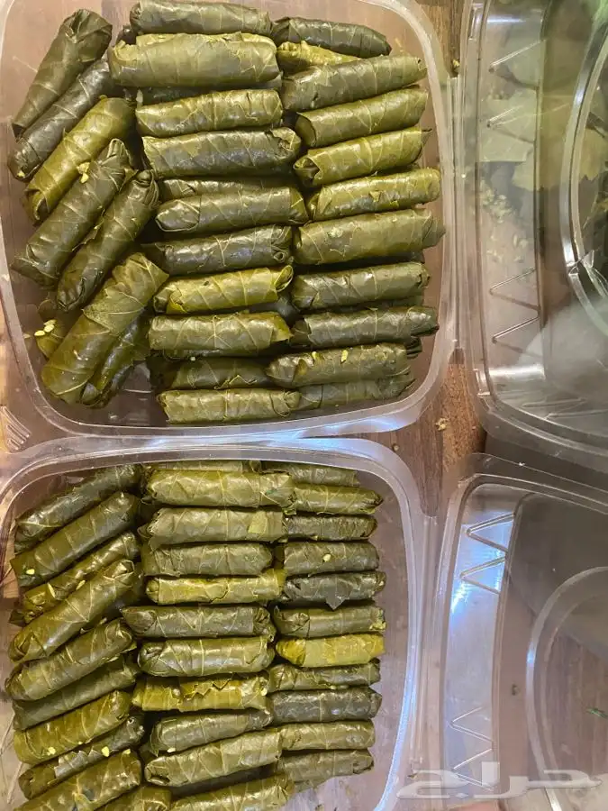 ورق عنب كبيبه حائل فته ورق عنب 7