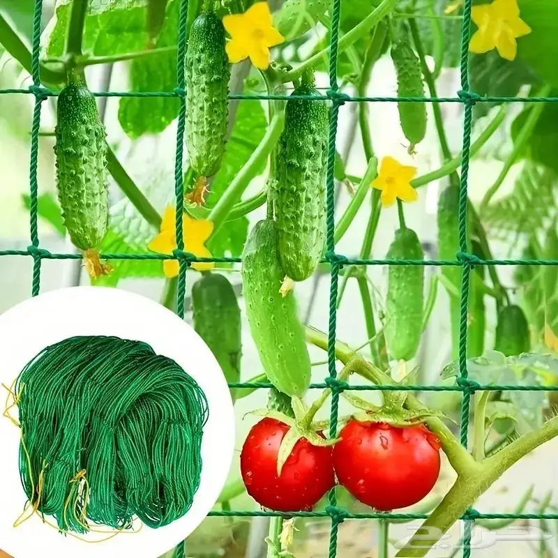 شبكة للنباتات المتسلقة 13