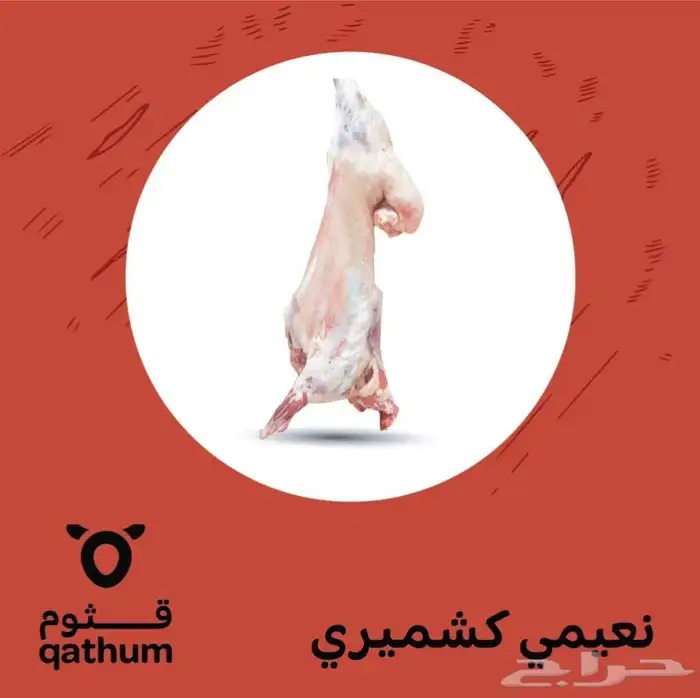 ذبائح نعيمي وتيوس وسواكني جذع ولباني وحاشي وعجل 1