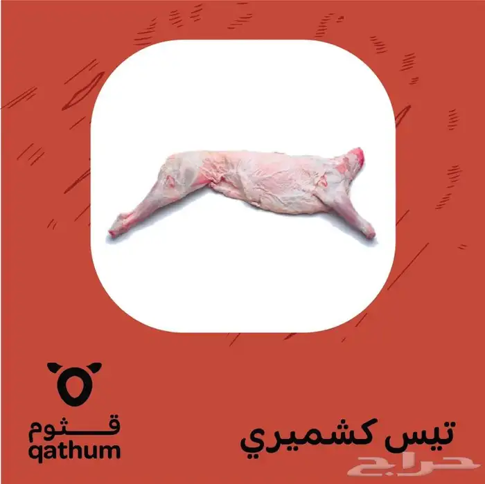 ذبائح نعيمي وتيوس وسواكني جذع ولباني وحاشي وعجل 2