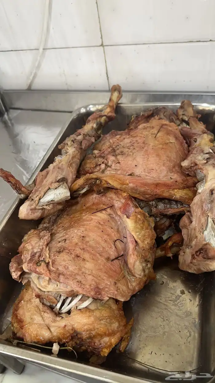 حنيذ جنوبي بالمرخ تيوس عوارض وذبائح حري نعيمي 2