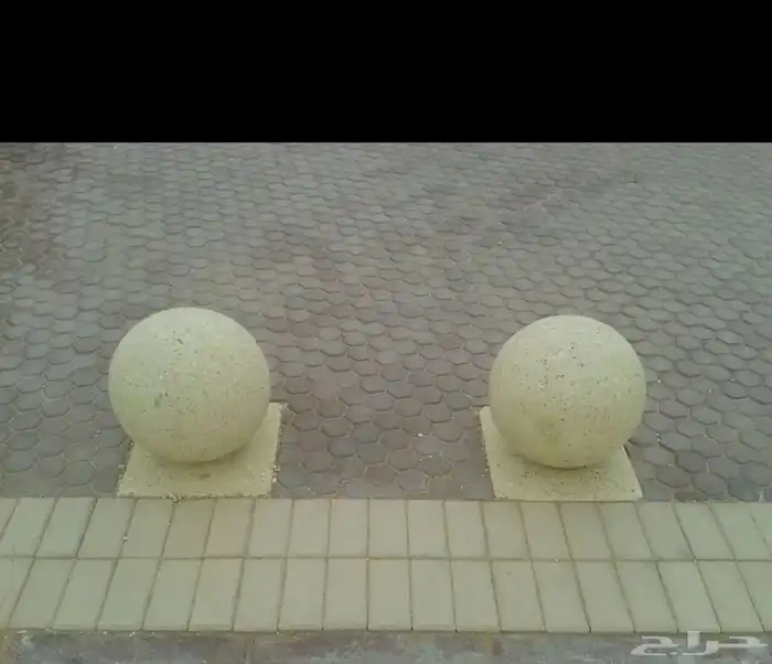 صبات خراسانه زينه حدايق جميع النواع 33