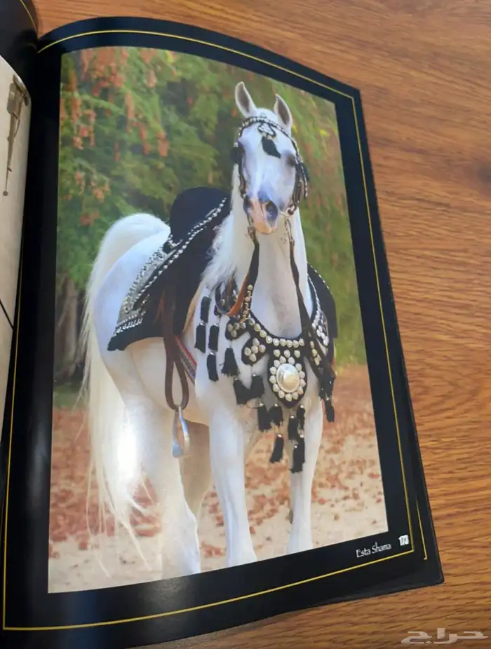 عدد 3 كتب عن الخيل 8