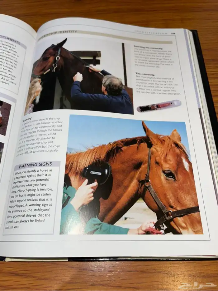 عدد 3 كتب عن الخيل 16