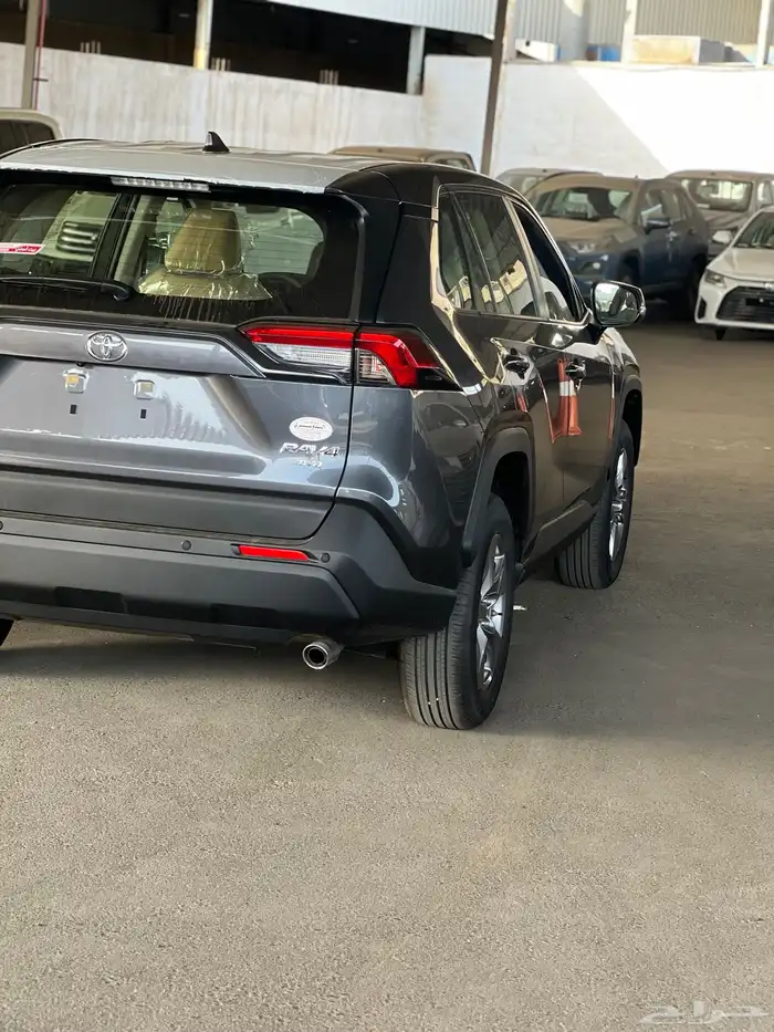 راف فور استاندر LE 2025 6