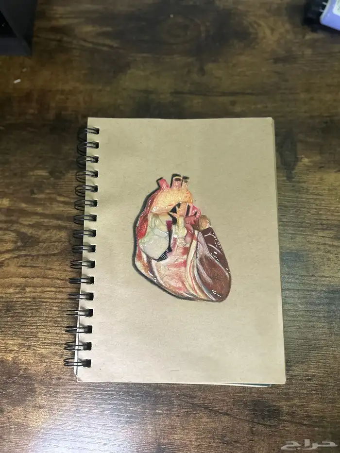 للنساء والأطفال دورات رسم عن بعد 6
