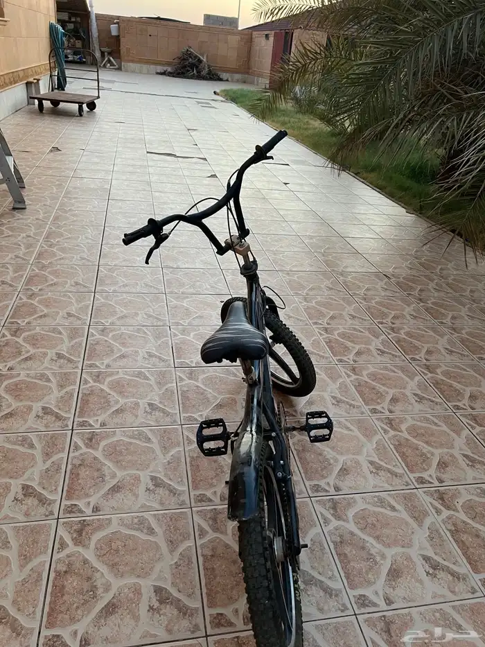 سيكل شركة TON مقاس 22 5