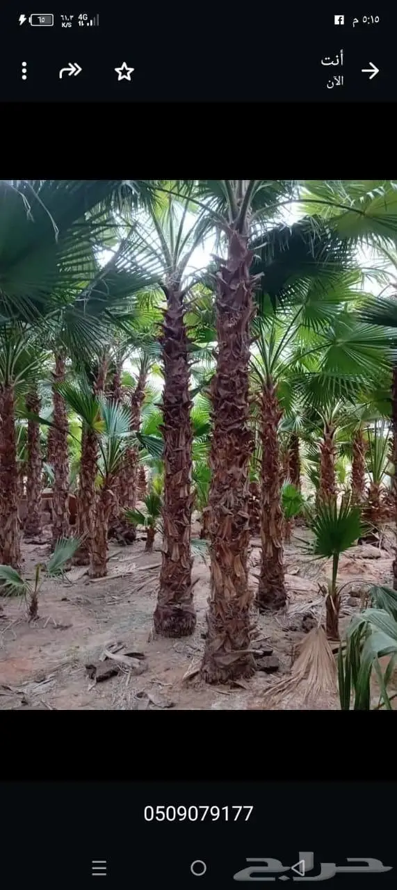 تسوير الكسارات والمزارع بالشبك 1