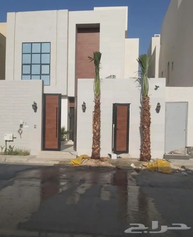 نخل واشنطن زينه امريكي ابو مروحه 28