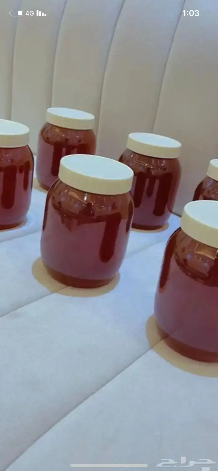 عسل سدر جبلي 7