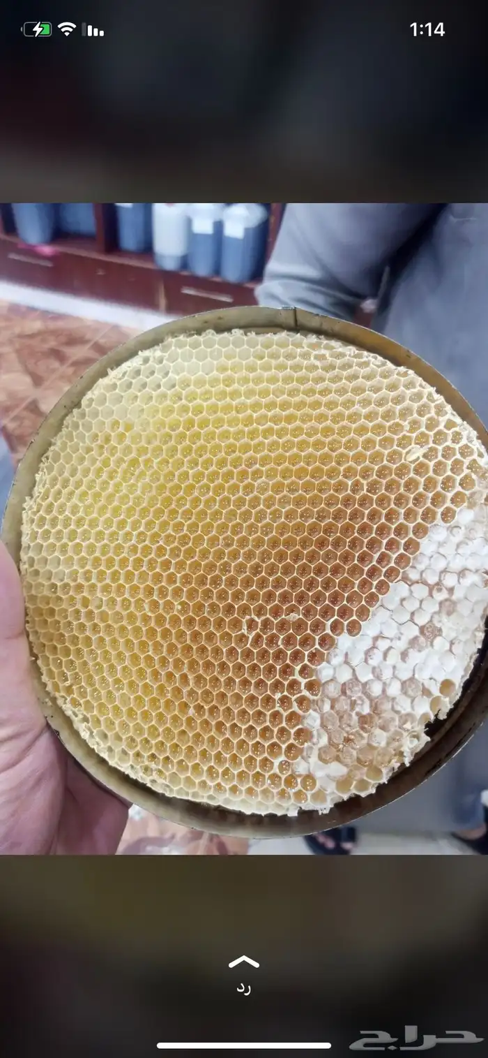 عسل سدر جبلي 0