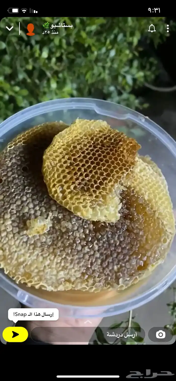 عسل سدر جبلي 1