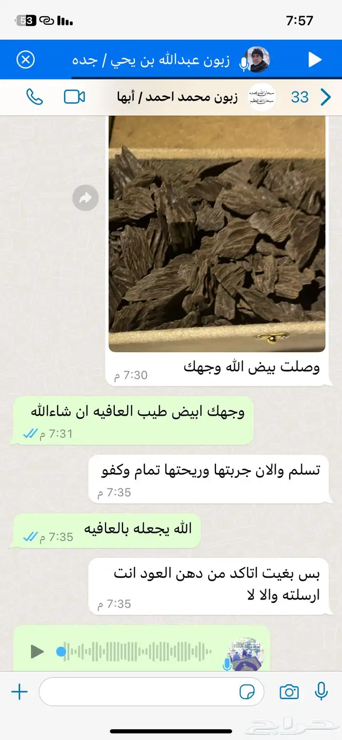 عود كلمنتان 3