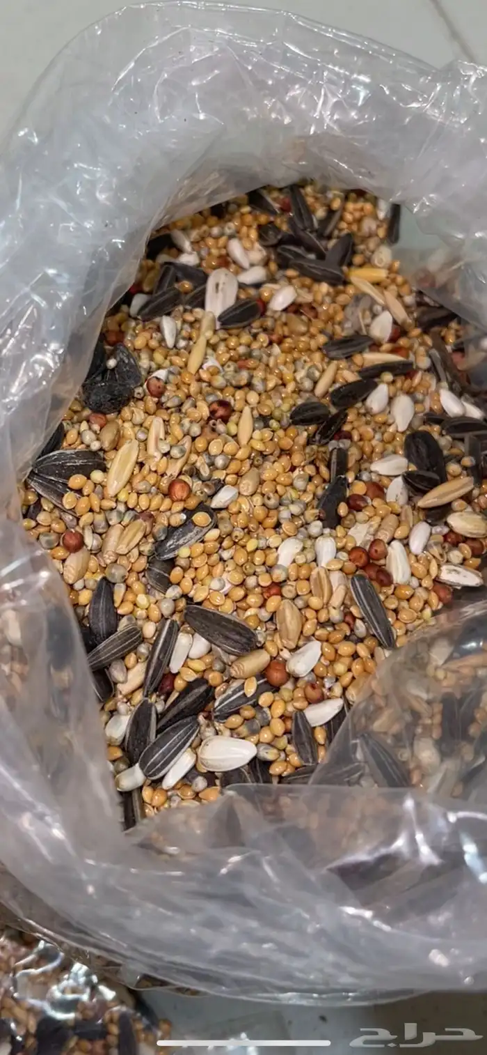 اكل روز وطيور حب وكناري (8ريال للكيلو ) 0