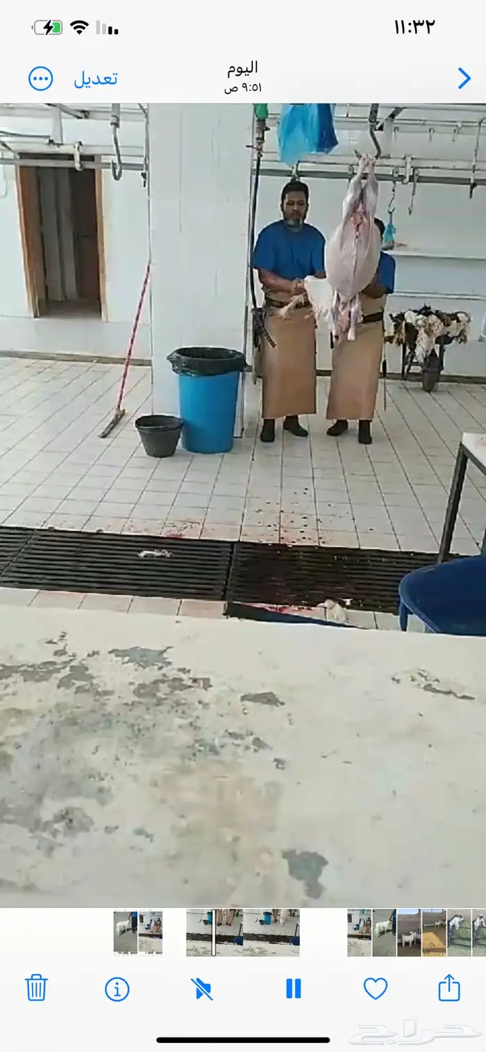 ذبايح حري ونعيمي وتيوس 26