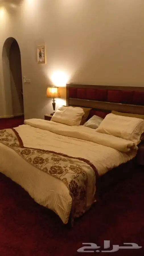 قاعه واستراحة وجد المخمليه 32