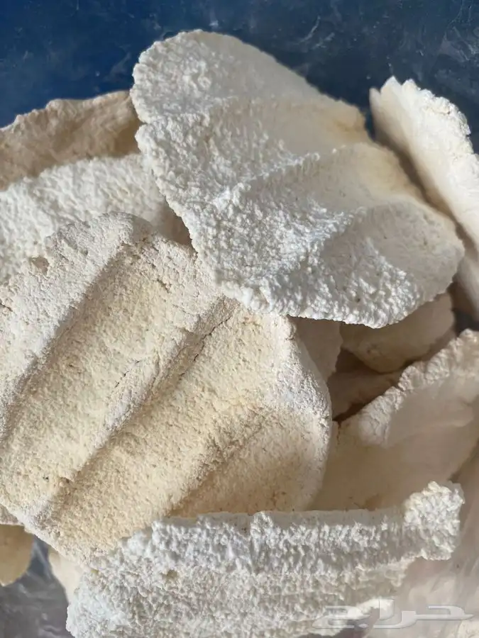 مضير ( بقل ) 1