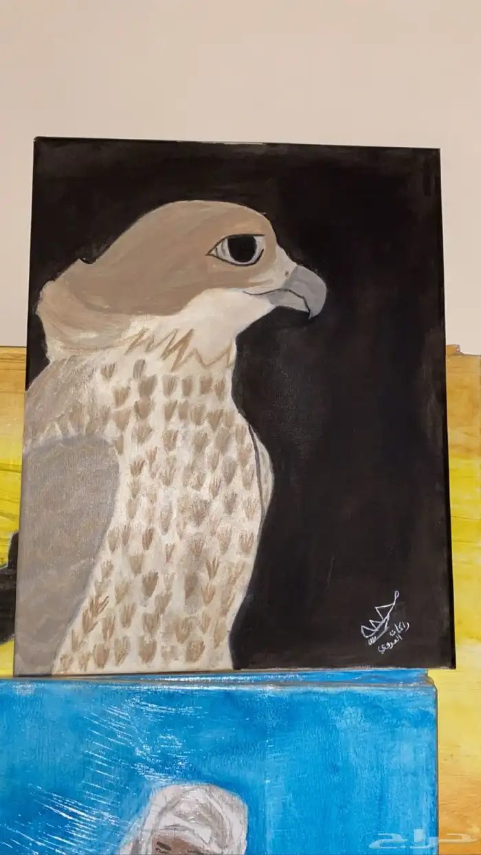 الرسمات على السوم 0