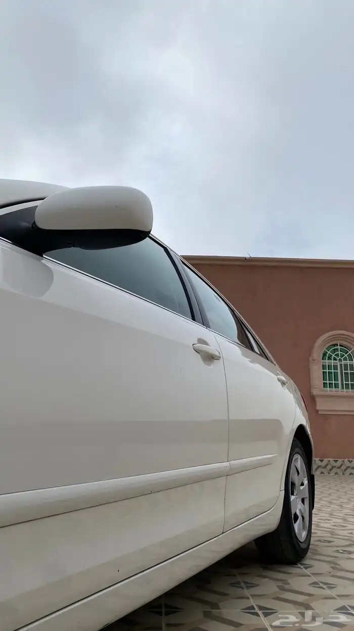 تم البيع الله يبارك لراعيها 2
