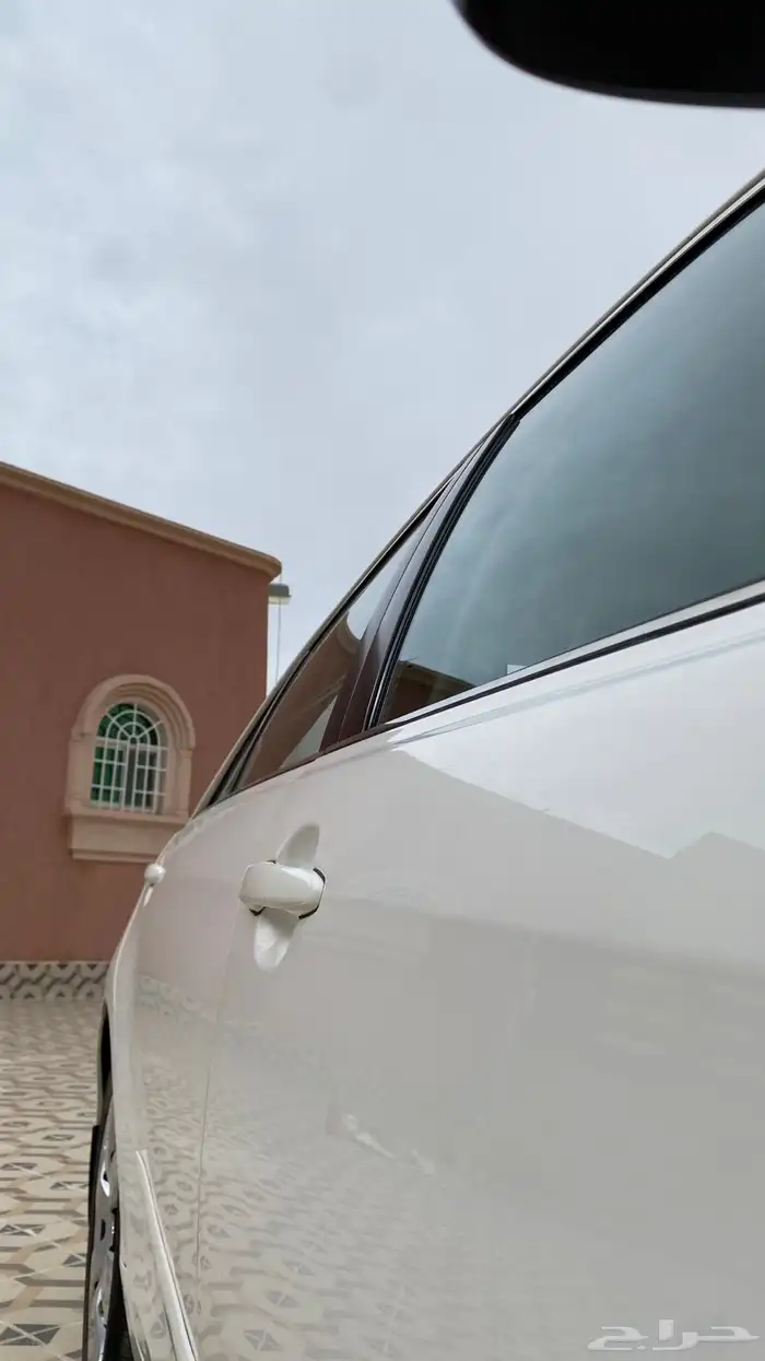 تم البيع الله يبارك لراعيها 20