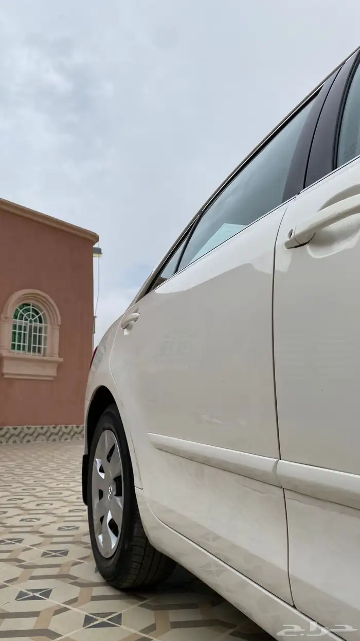 تم البيع الله يبارك لراعيها 19