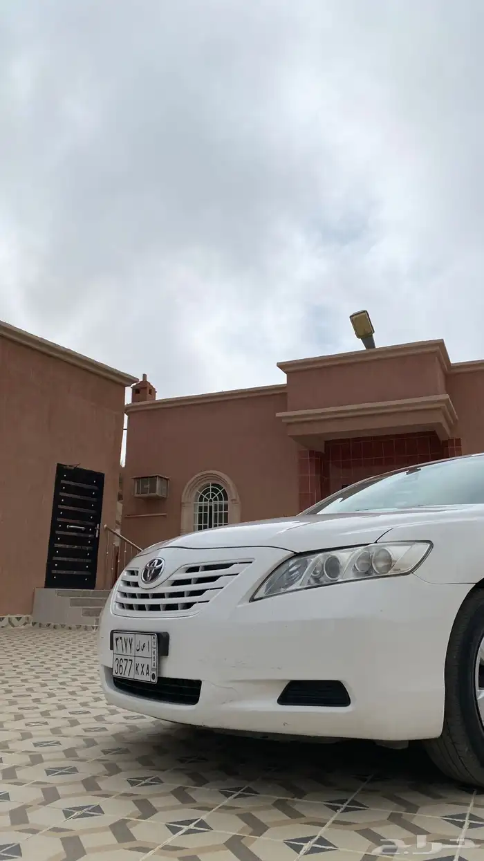 تم البيع الله يبارك لراعيها 1