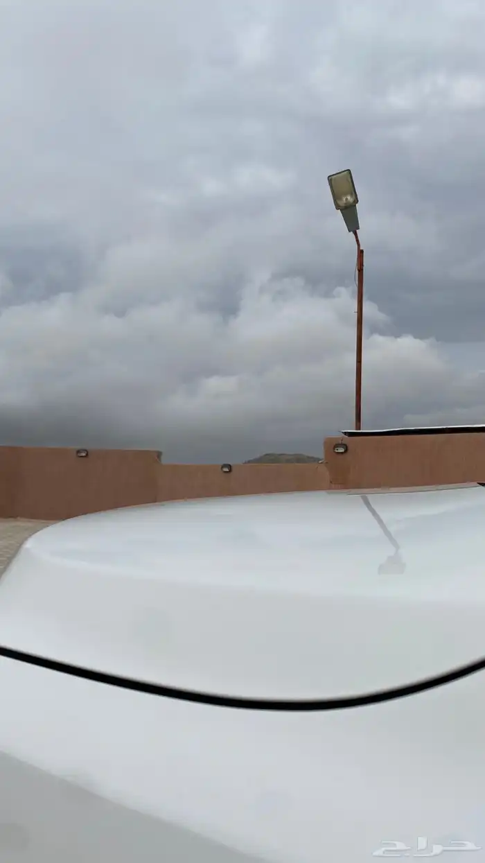 تم البيع الله يبارك لراعيها 22