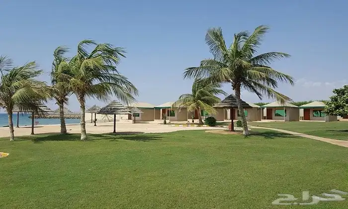 حجز وتنسيق جزيرة فرسان 0