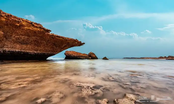 حجز وتنسيق جزيرة فرسان 3