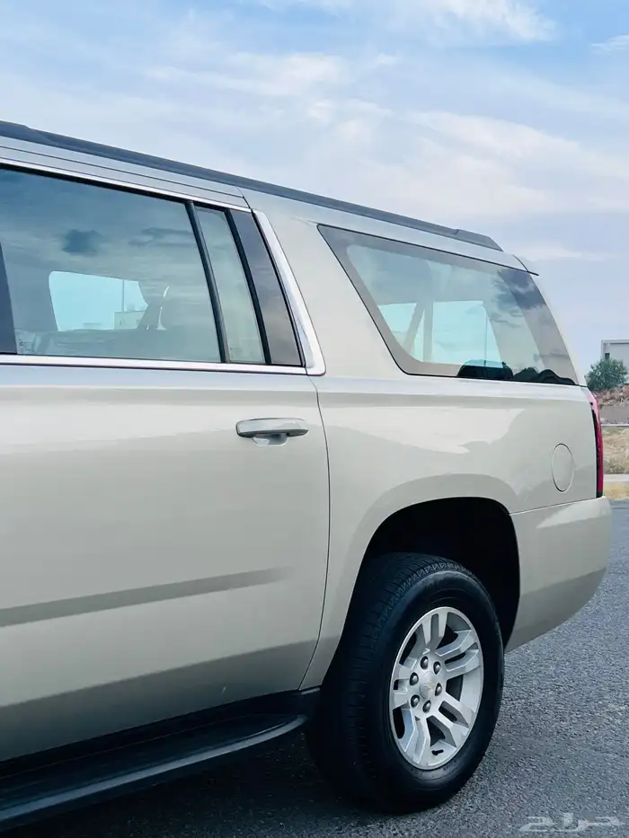 تم البيع الله يبارك للمشتري 11