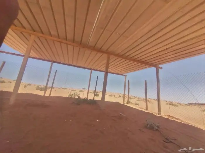 شبوك ابل غرف خشب. مضلات 5