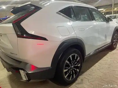 جي اي سي امكو 2025 19