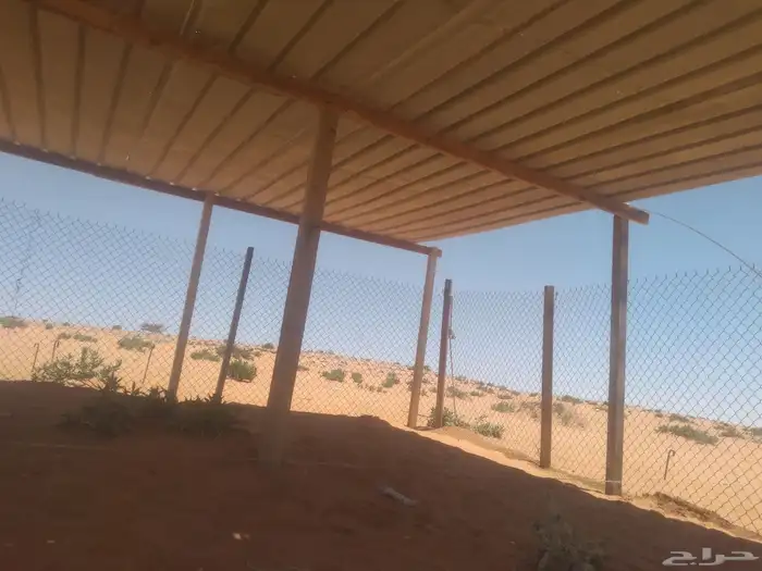 شبوك ابل غرف خشب. مضلات 4