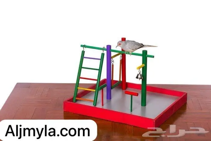 سيريلاك أقفاص ألعاب أعلاف اكل جاف اكل رطب 18